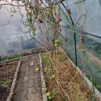 /images/post/2022/nov/10/polytunnel-bakken-opruimen.jpg