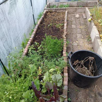 /images/post/2022/nov/10/polytunnel-opruimen.jpg
