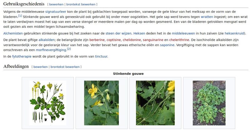 Stinkende Gouwe Wiki